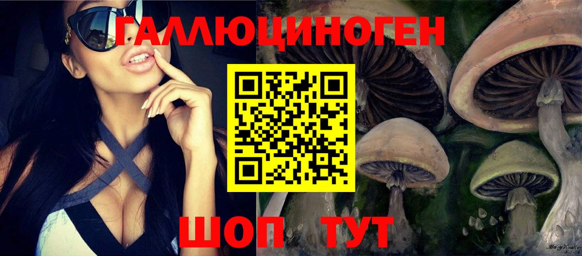 купить наркотики сайты  Псилоцибиновые грибы прущие грибы  Вход с VPN  Рубцовск  Галлюциногенные грибы Cubensis 